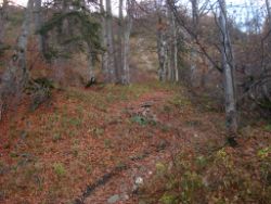 2013-10-26_Schildenstein (221).JPG